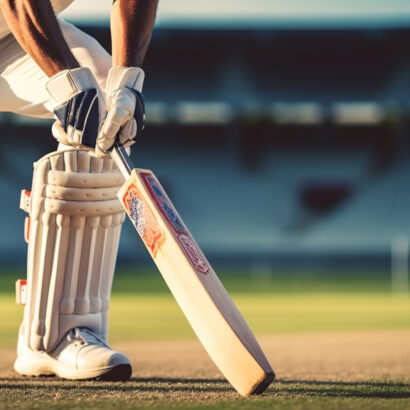 view-cricket-game-field